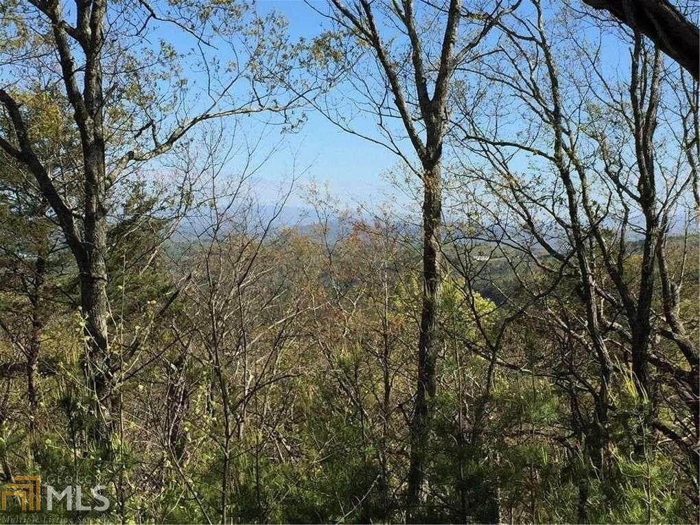 150 Black Bear Ln - Photo 1