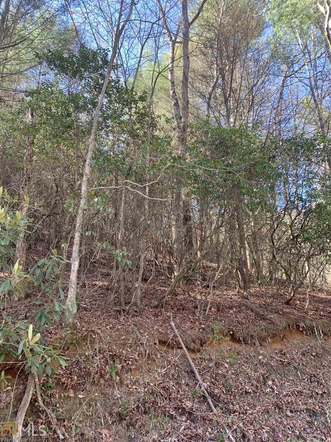 0 Creekview Dr - Photo 1