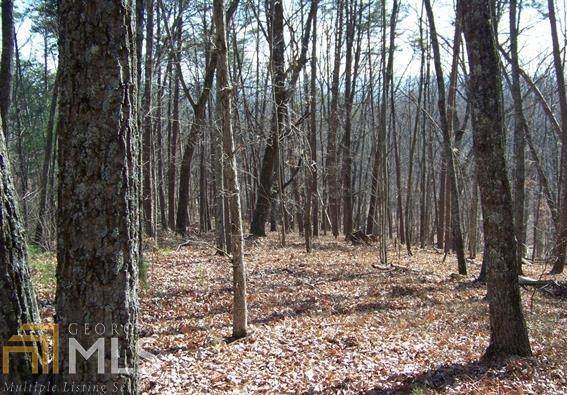 0 Autumn Hill - Photo 1
