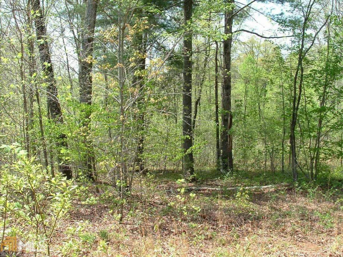 0 Three Sisters Trl - Photo 1