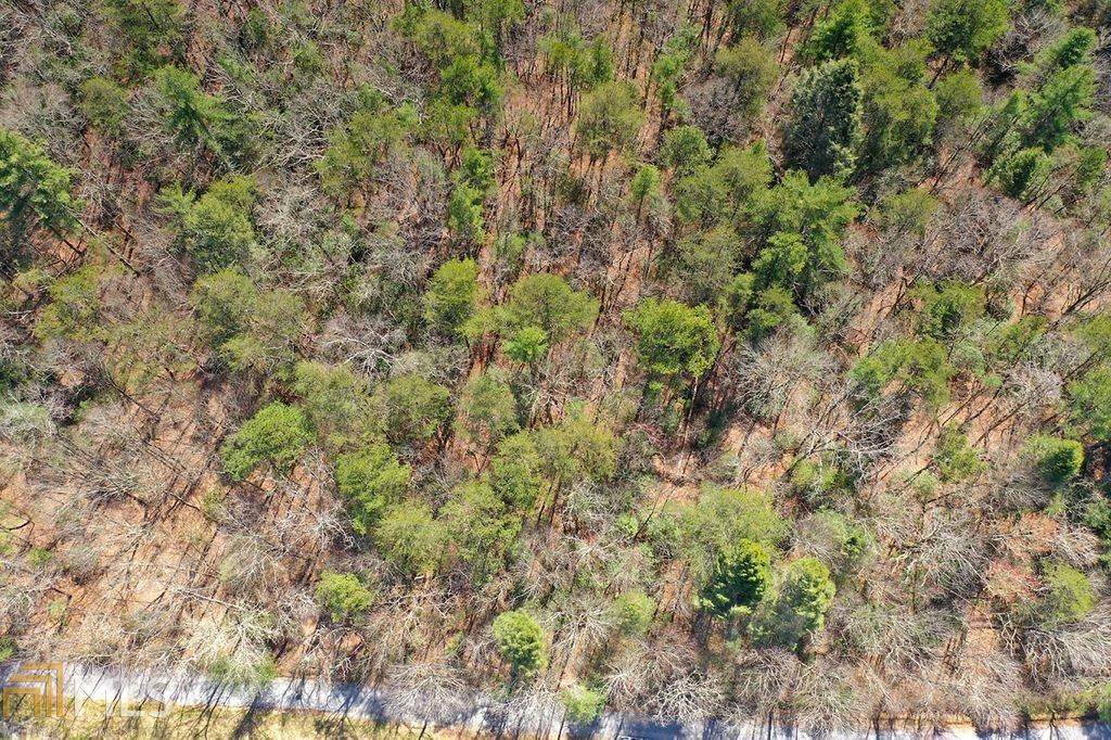 3435 Bucksnot Rd - Photo 1