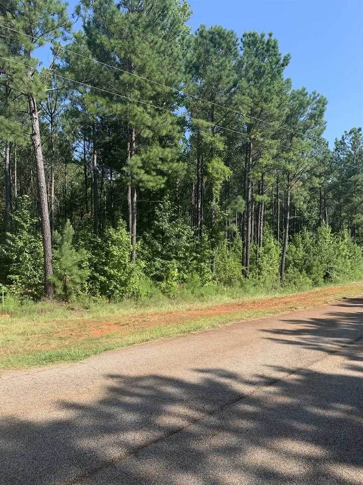 0 Kings Ridge Drive - Photo 1