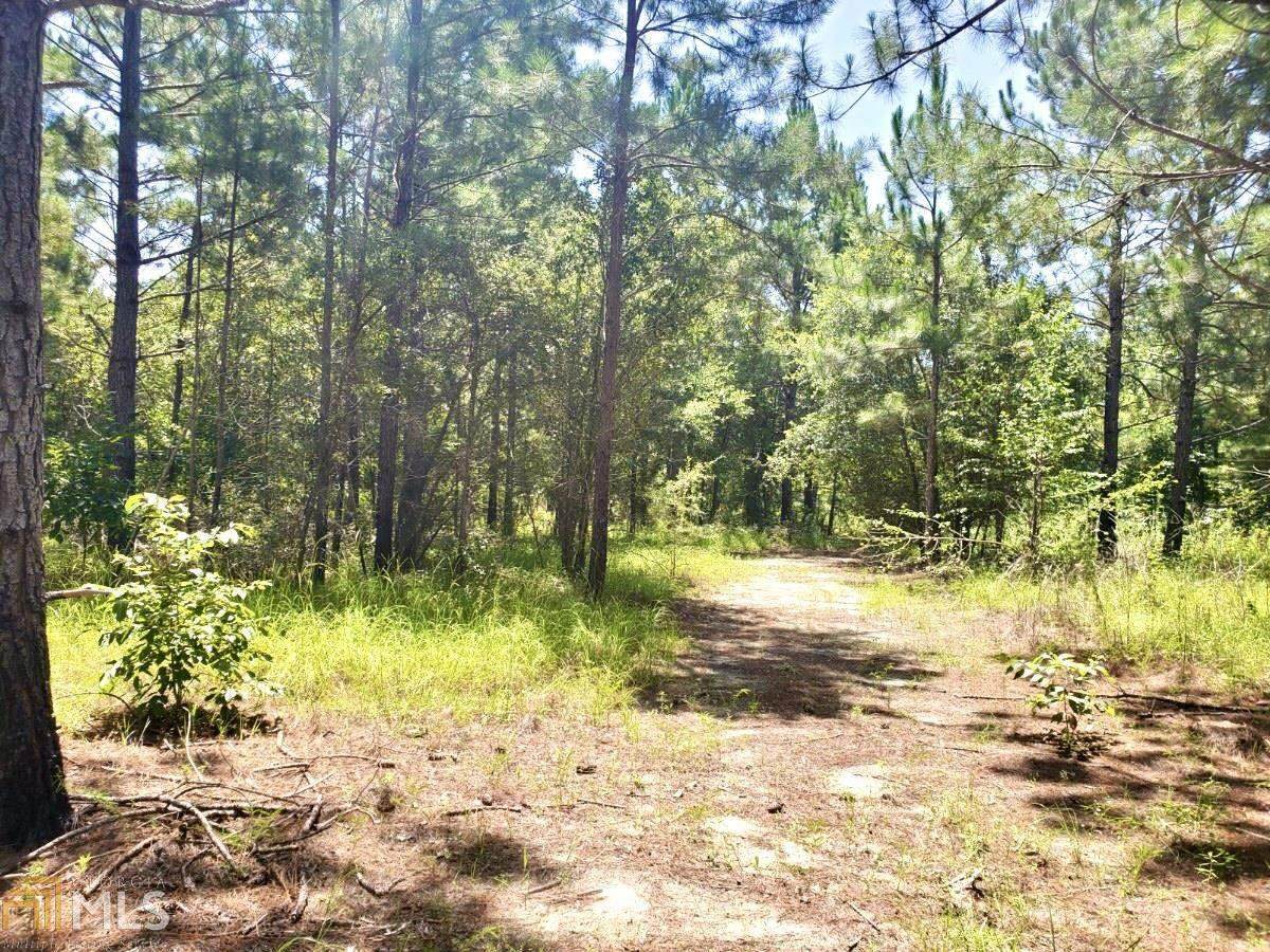 0 Cypress Lake Rd - Photo 1