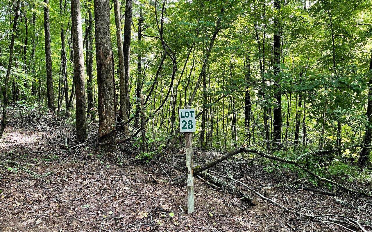 0 Highland Falls Preserve - Photo 1