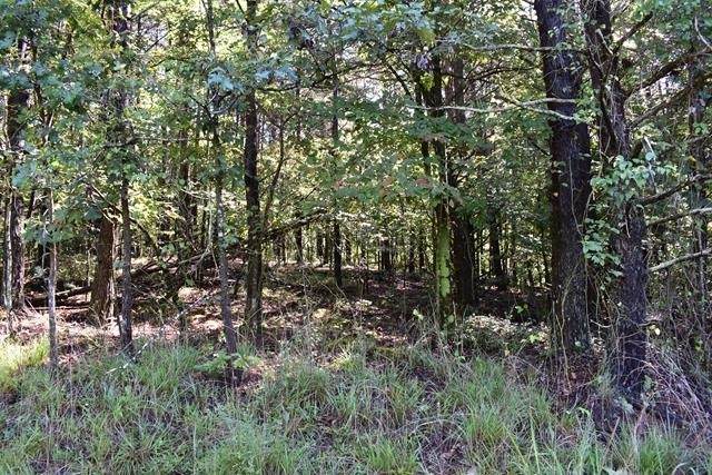 0 Fowler Creek Drive - Photo 1