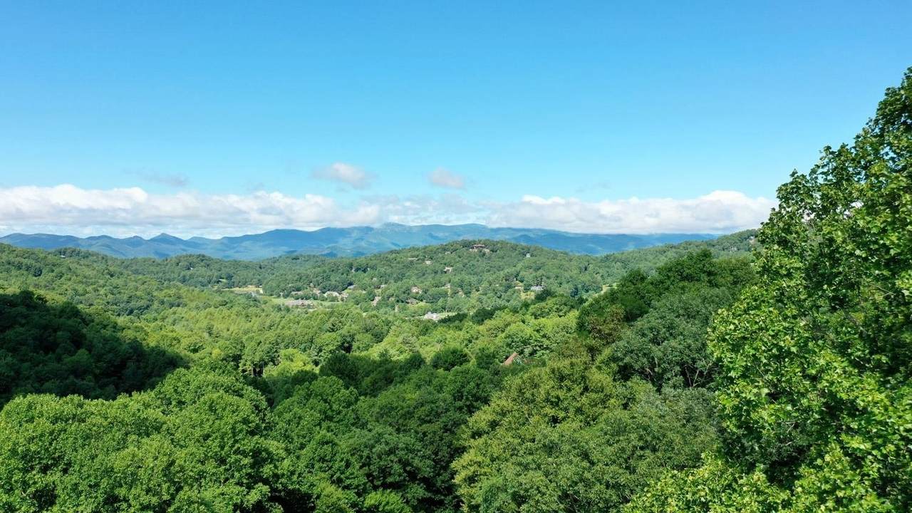 0 Bald Mountain Road - Photo 1