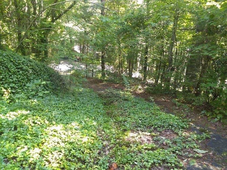 238 Sugarbush - Photo 1