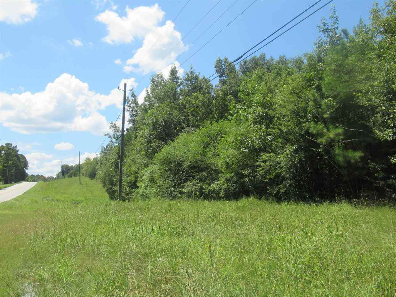 0 Piedmont Highway - Photo 1