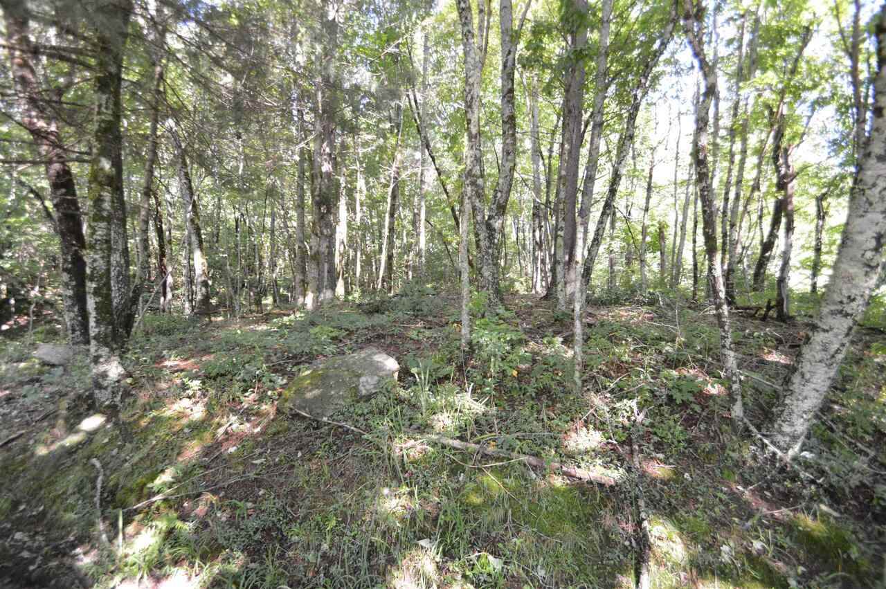 0 Burrell Snyder Lane - Photo 1