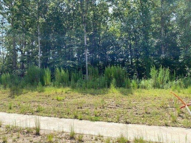 7057 Hammock Trail - Photo 1