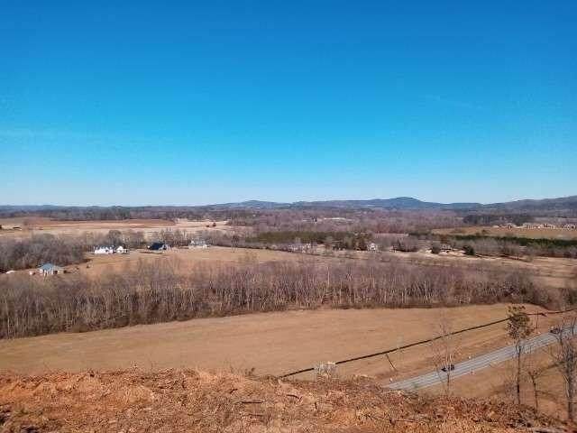 0 Old Alabama Road - Photo 1