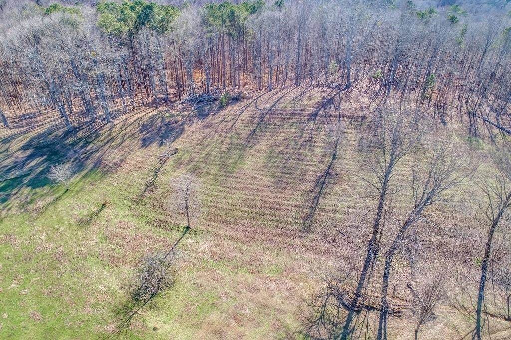 2680 Ball Ground Road - Photo 1