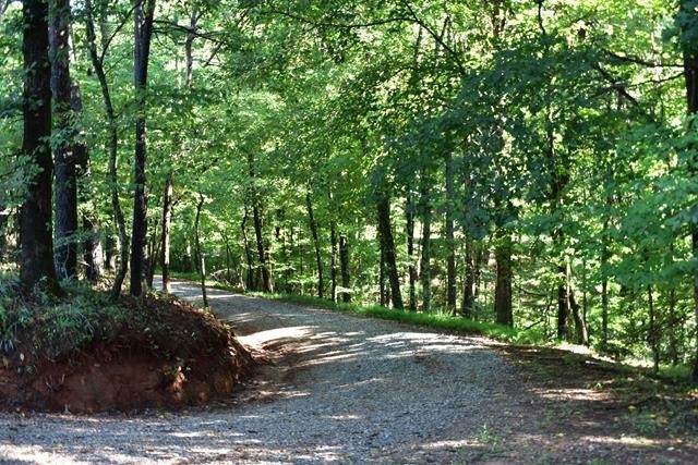 0 Fowler Creek Drive - Photo 1