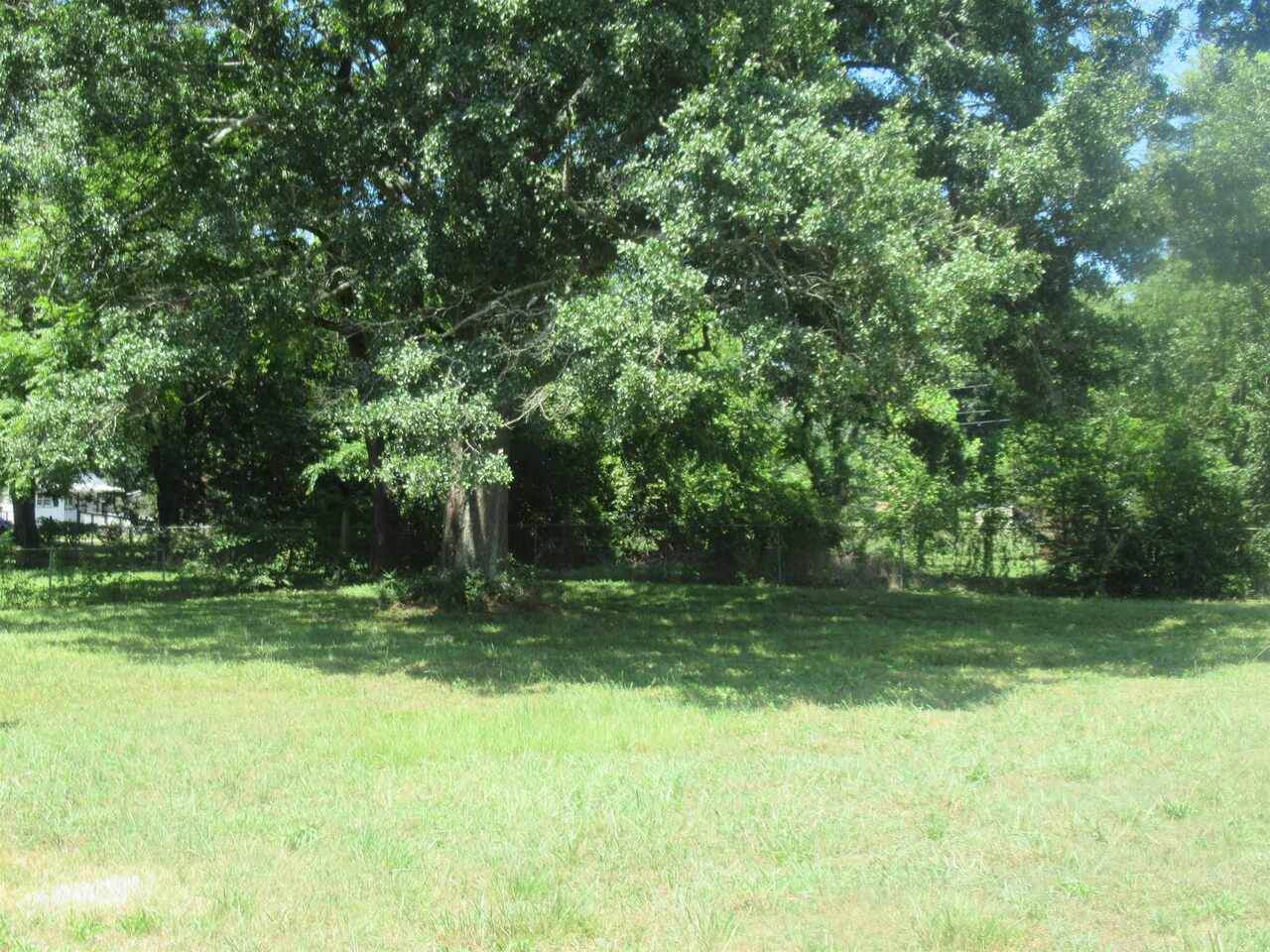 1730 Buchanan Highway - Photo 1