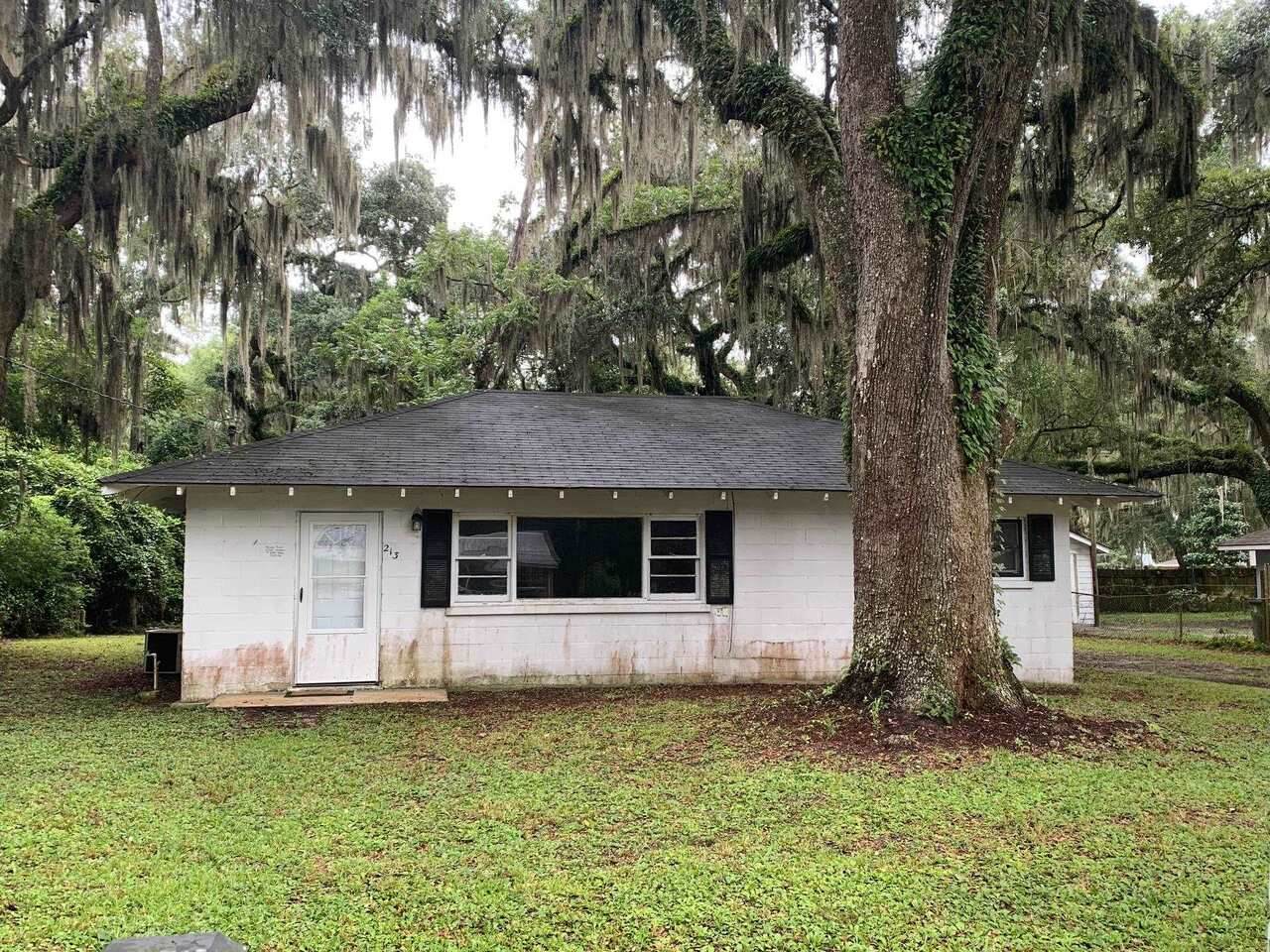 213 East Hilton Avenue - Photo 1
