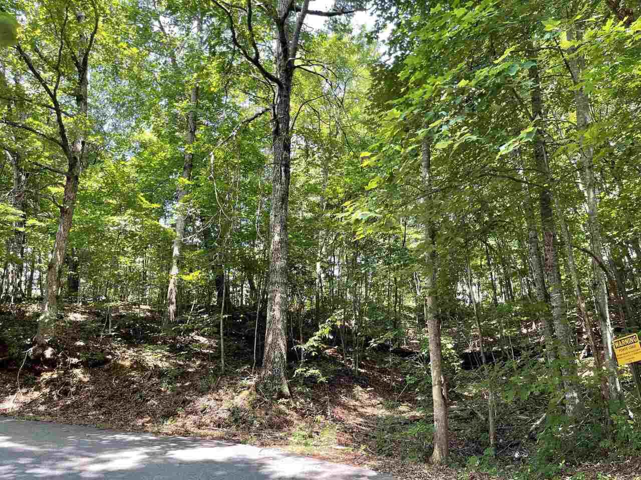 7 Mountain Drive - Photo 1