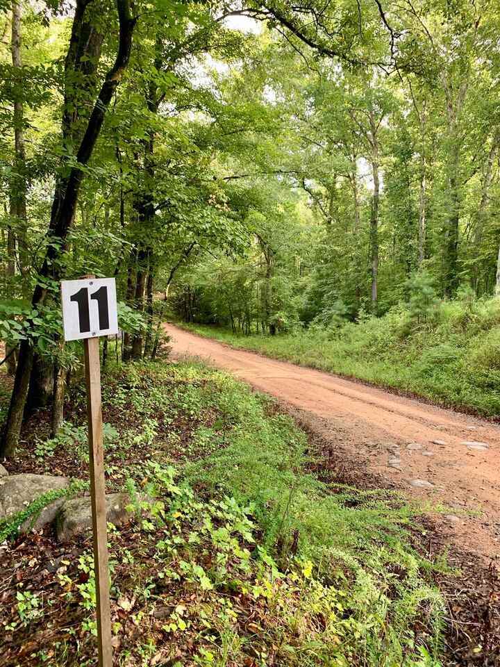 0 Montpelier Springs Road - Photo 1