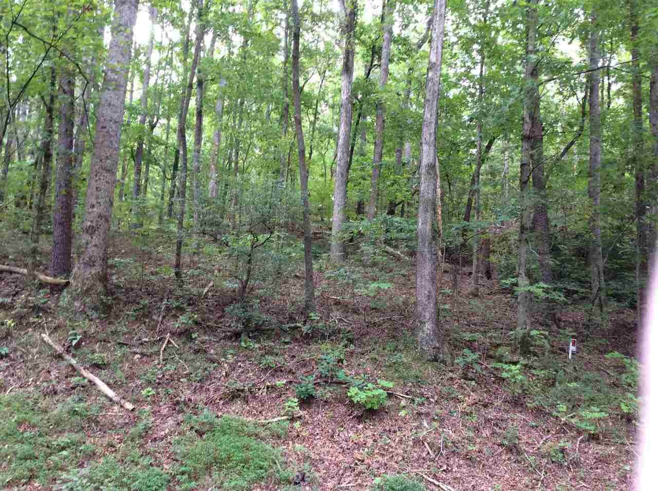 0 Habersham Mills Road - Photo 1
