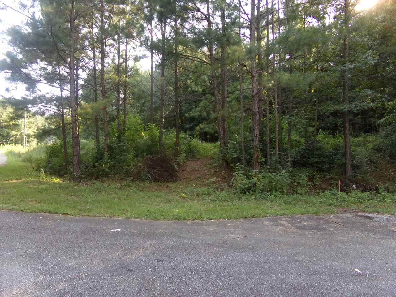 355 Hickory Road - Photo 1