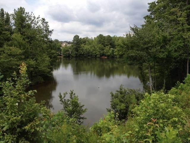 0 Lake Valley Way - Photo 1