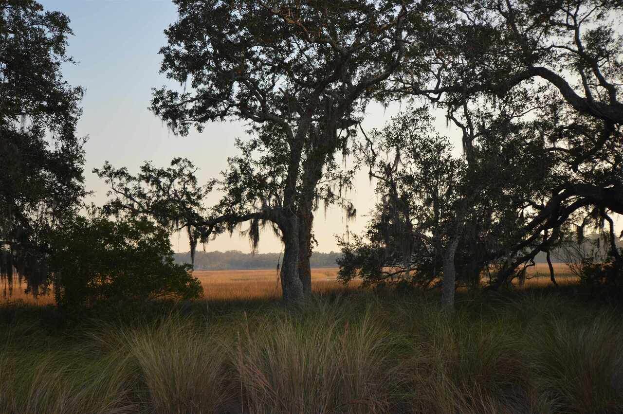 32 Coopers Point Drive - Photo 1