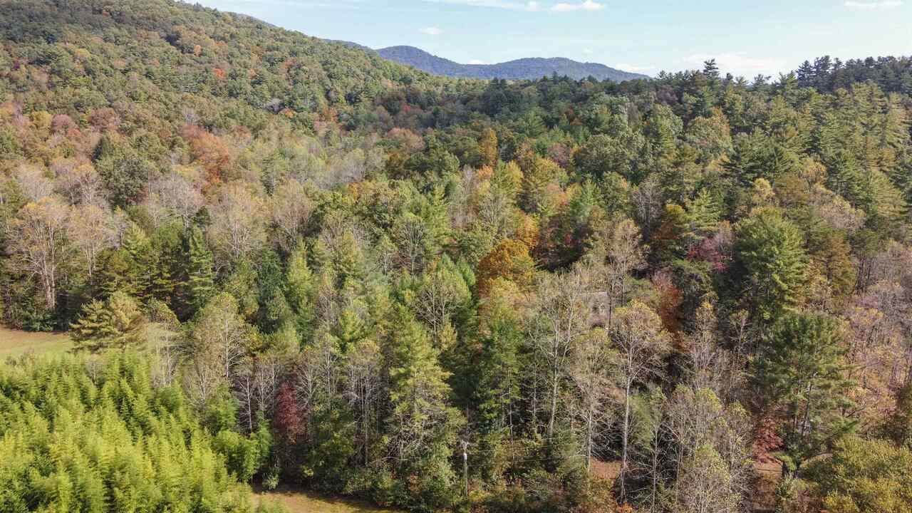 4534 Zion Hill - Photo 1