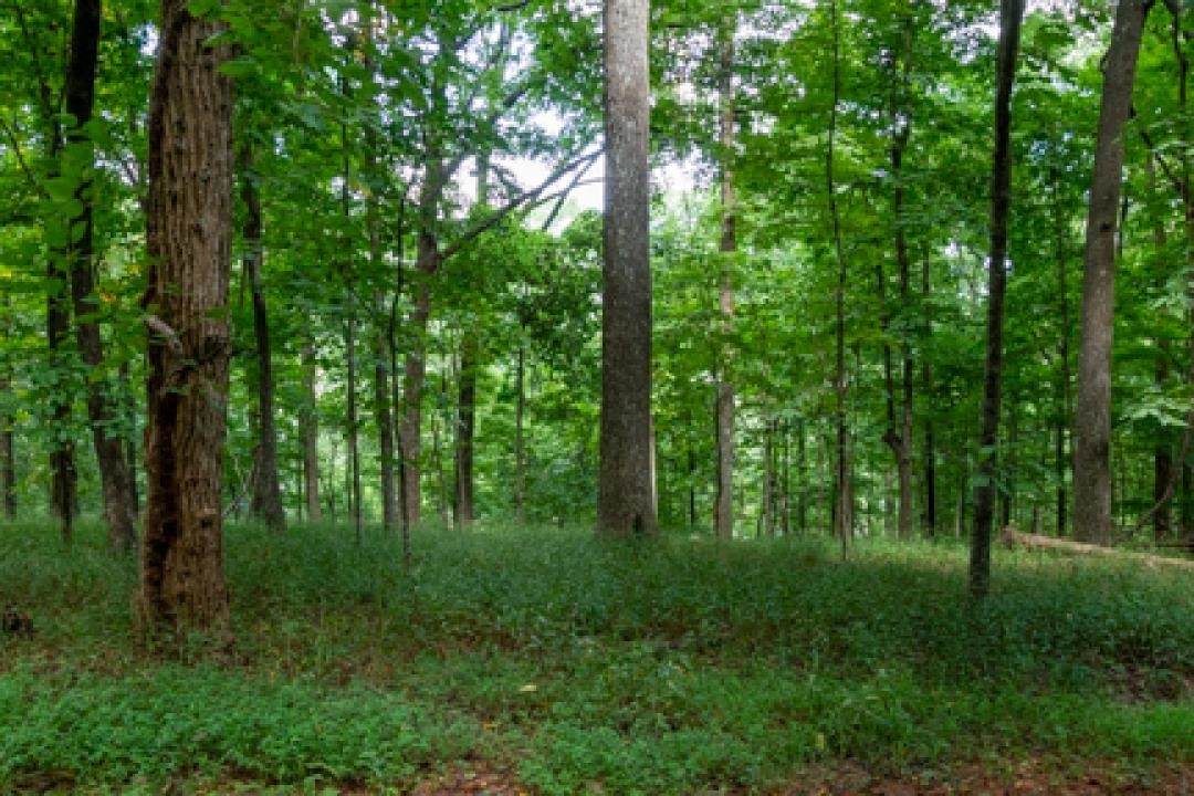90 Locust Drive - Photo 1