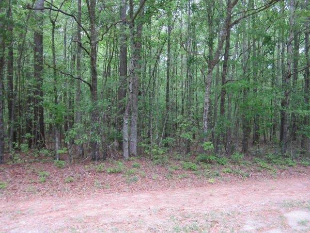 921 Old Greenville Road - Photo 1