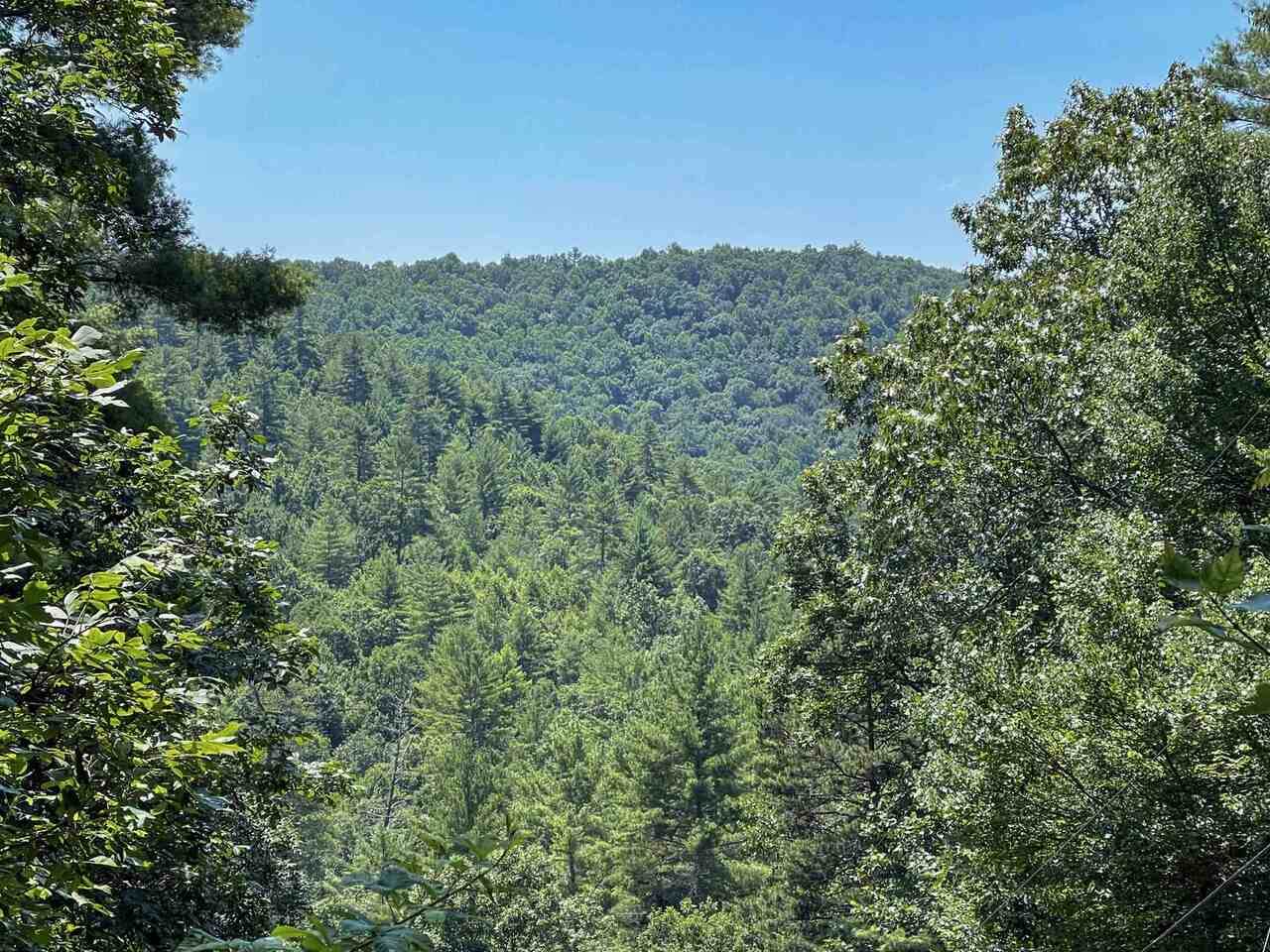 194 Toccoa Overlook Drive - Photo 1