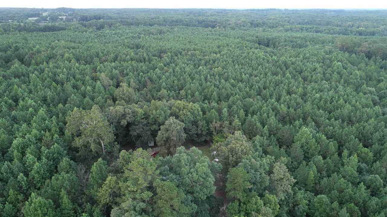 277 Caldwell Road - Photo 1