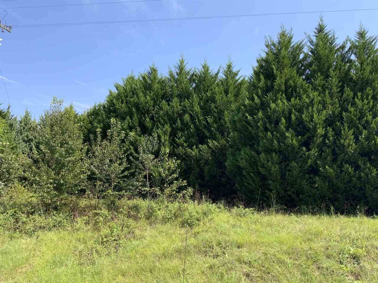 0 Cordele Highway - Photo 1