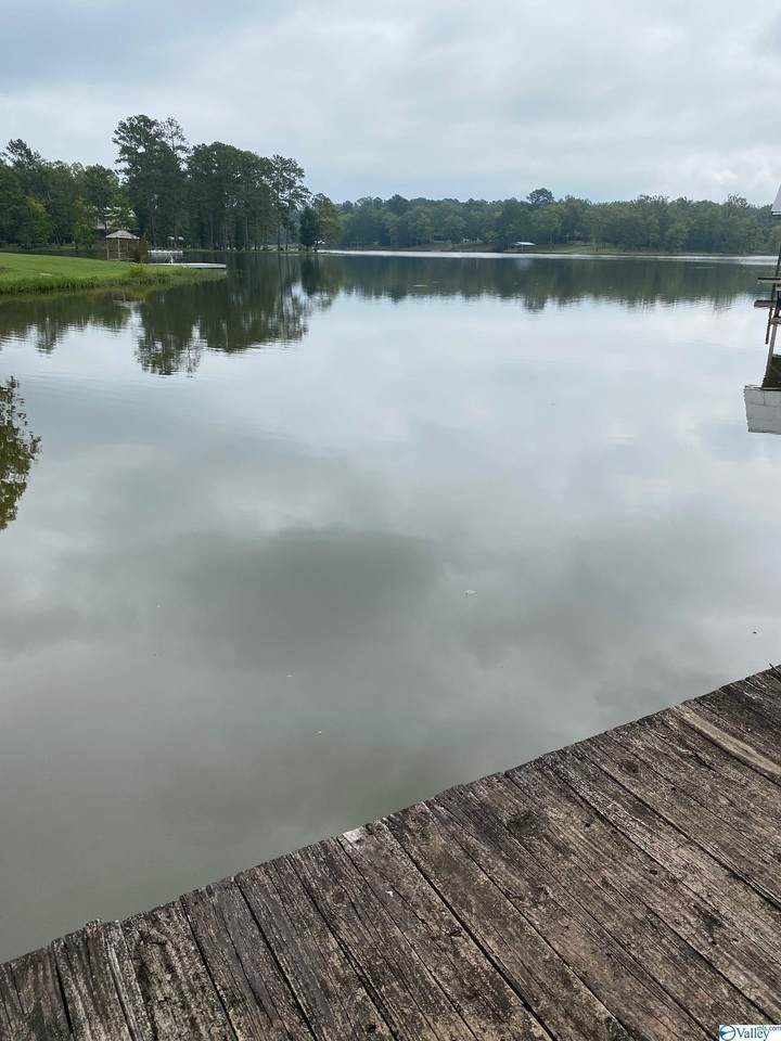 450 Rocky Ford Point - Photo 1