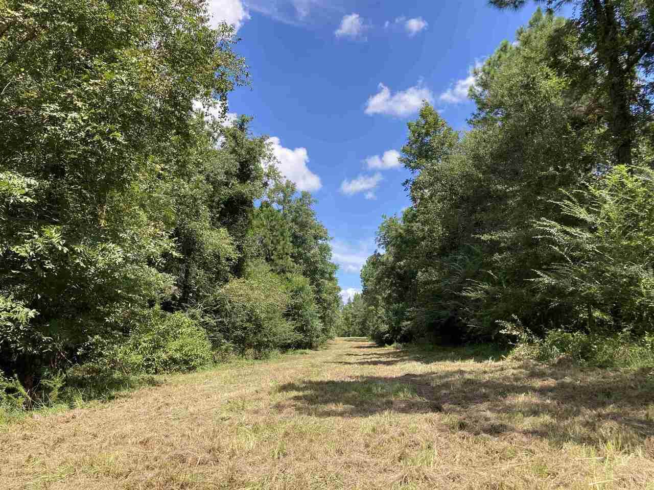 0 Mount Olivet Church Road - Photo 1