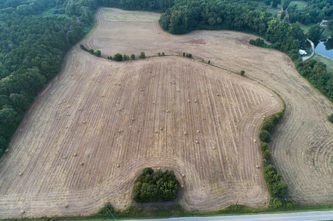 1447 Grady Lemonds Road - Photo 1