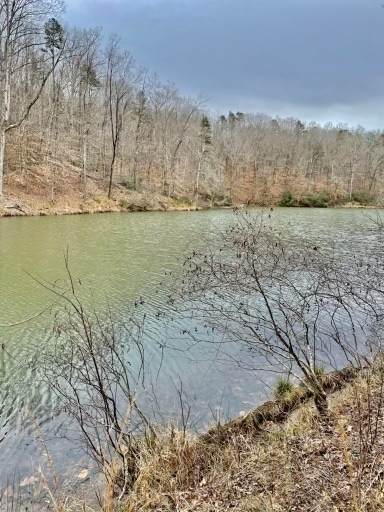 0 Purvis Rd Rd101 - Photo 1