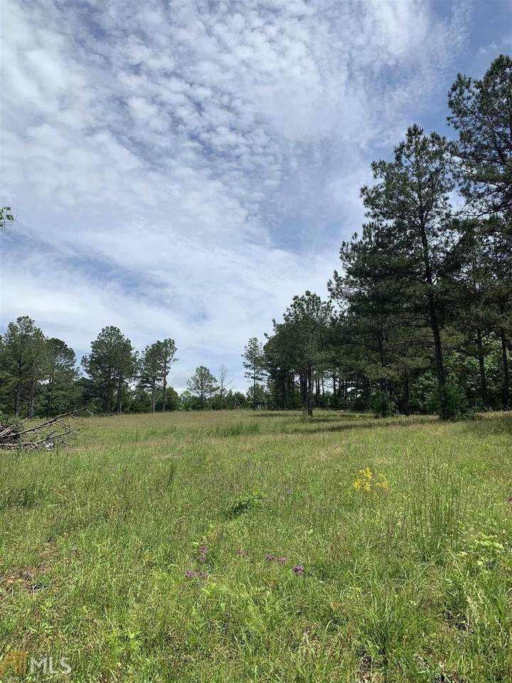 390 Rock Hill School Road - Photo 1