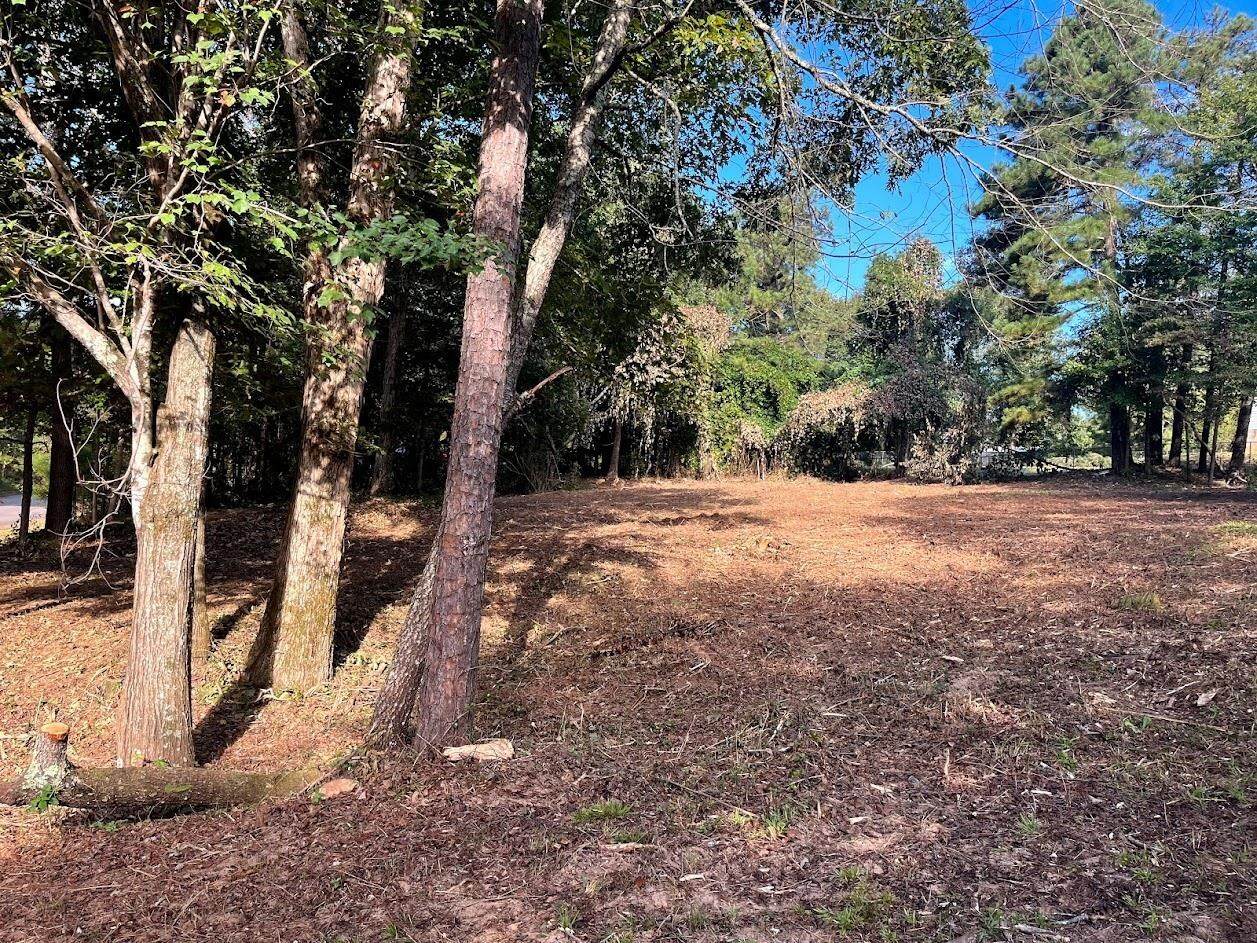 175 Holliday Drive - Photo 1