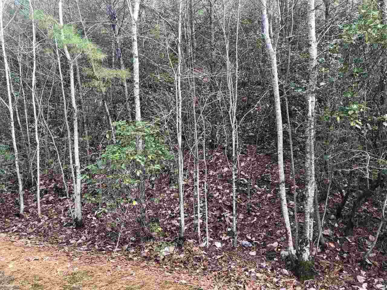 0 Oak Pointe Drive - Photo 1