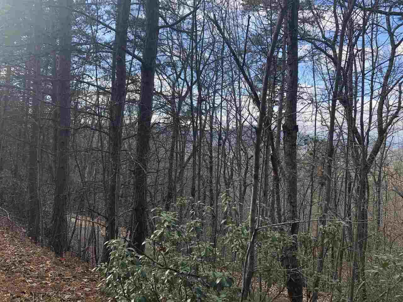 0 Oak Pointe Drive - Photo 1
