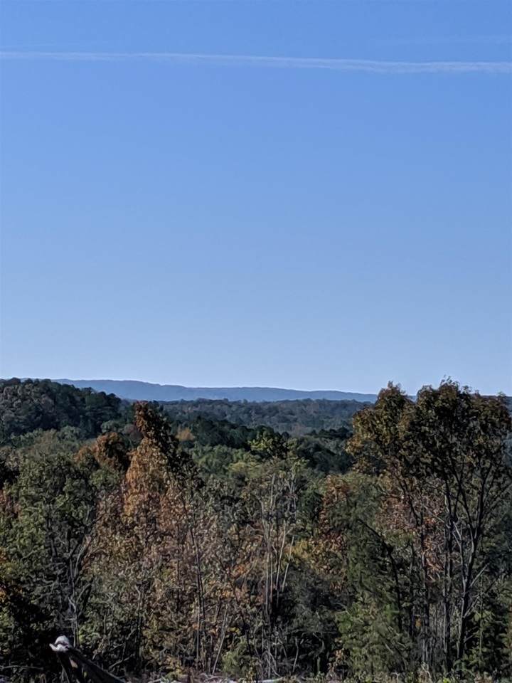0 Antioch Road - Photo 1