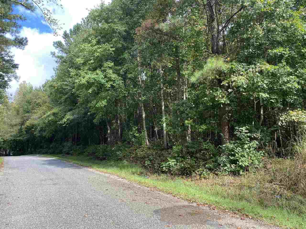 0 Felton Rockmart Road - Photo 1