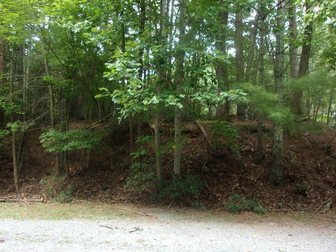 0 Skyview Drive - Photo 1