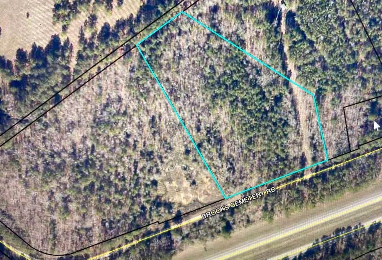 0 Highway 77 Access/Brooks Cemetery Road - Photo 1