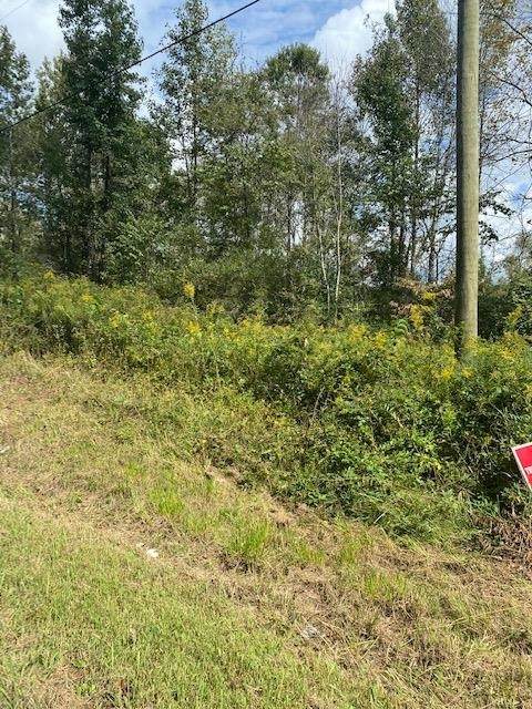 0 Old Trion Highway - Photo 1