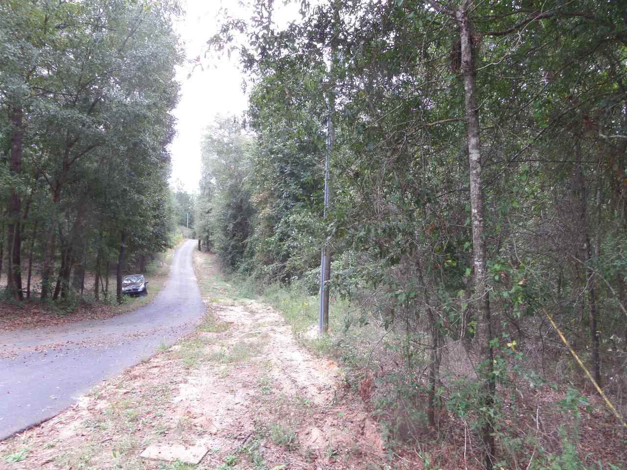 428 Woolfork Rd This Is Next To This Address Road - Photo 1