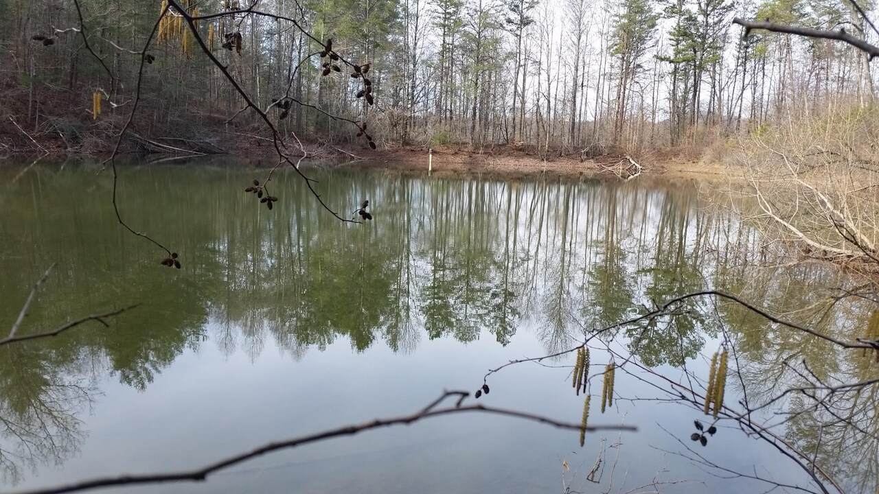 352 Mandy's Cove - Photo 1