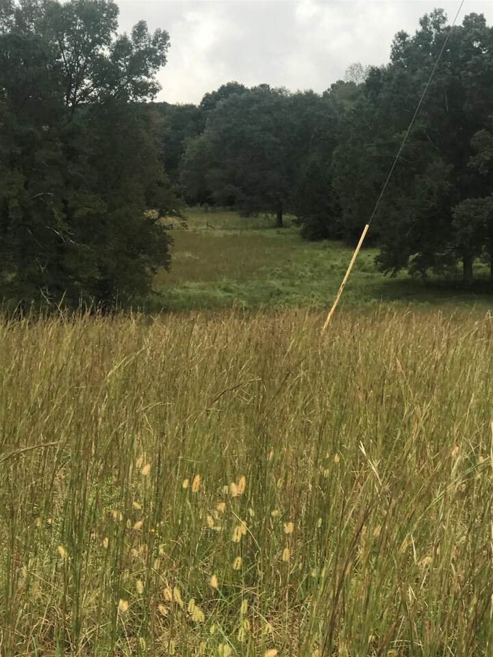 0 Dally Trail - Photo 1