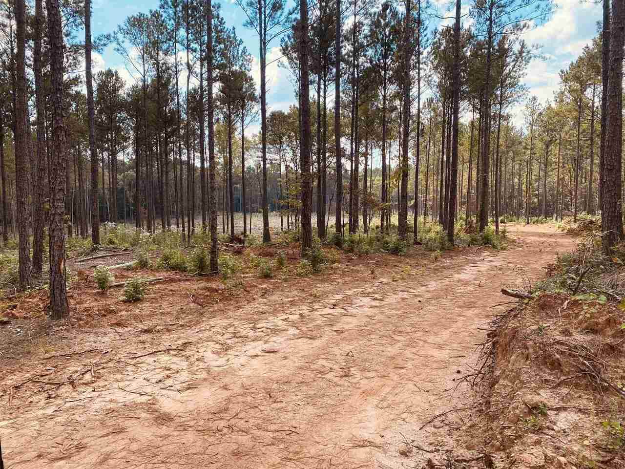 001 Owens Road - Photo 1