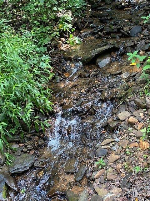 0 Seven Springs - Photo 1