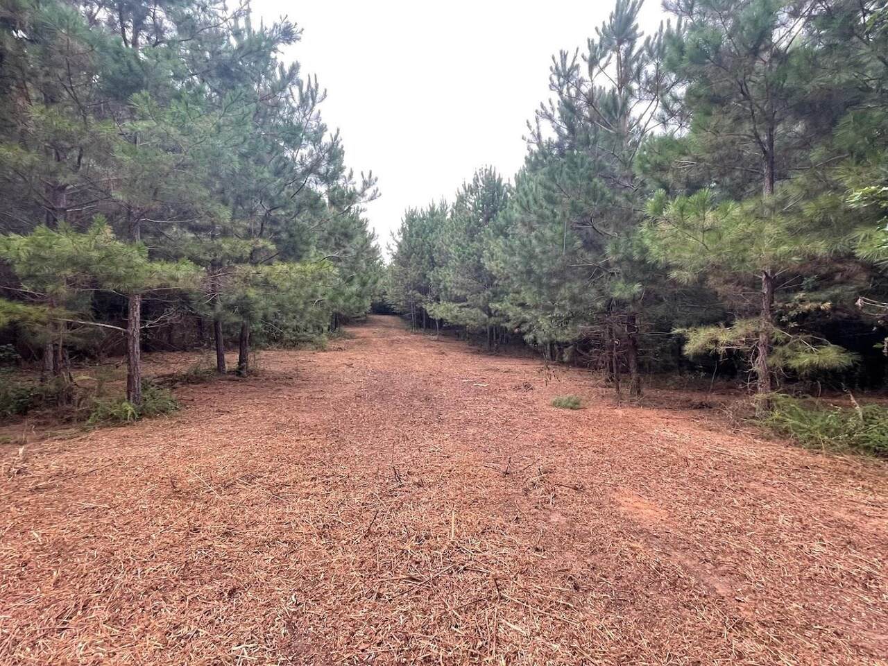 0 Ga Highway 100 - Photo 1